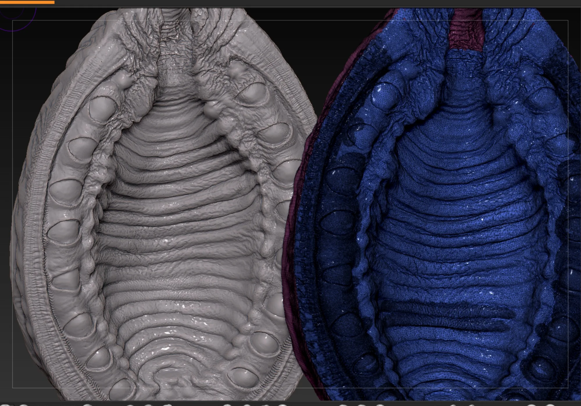 See How This Creepy Facehugger Egg from Alien Was Made in 3D - изображение 4
