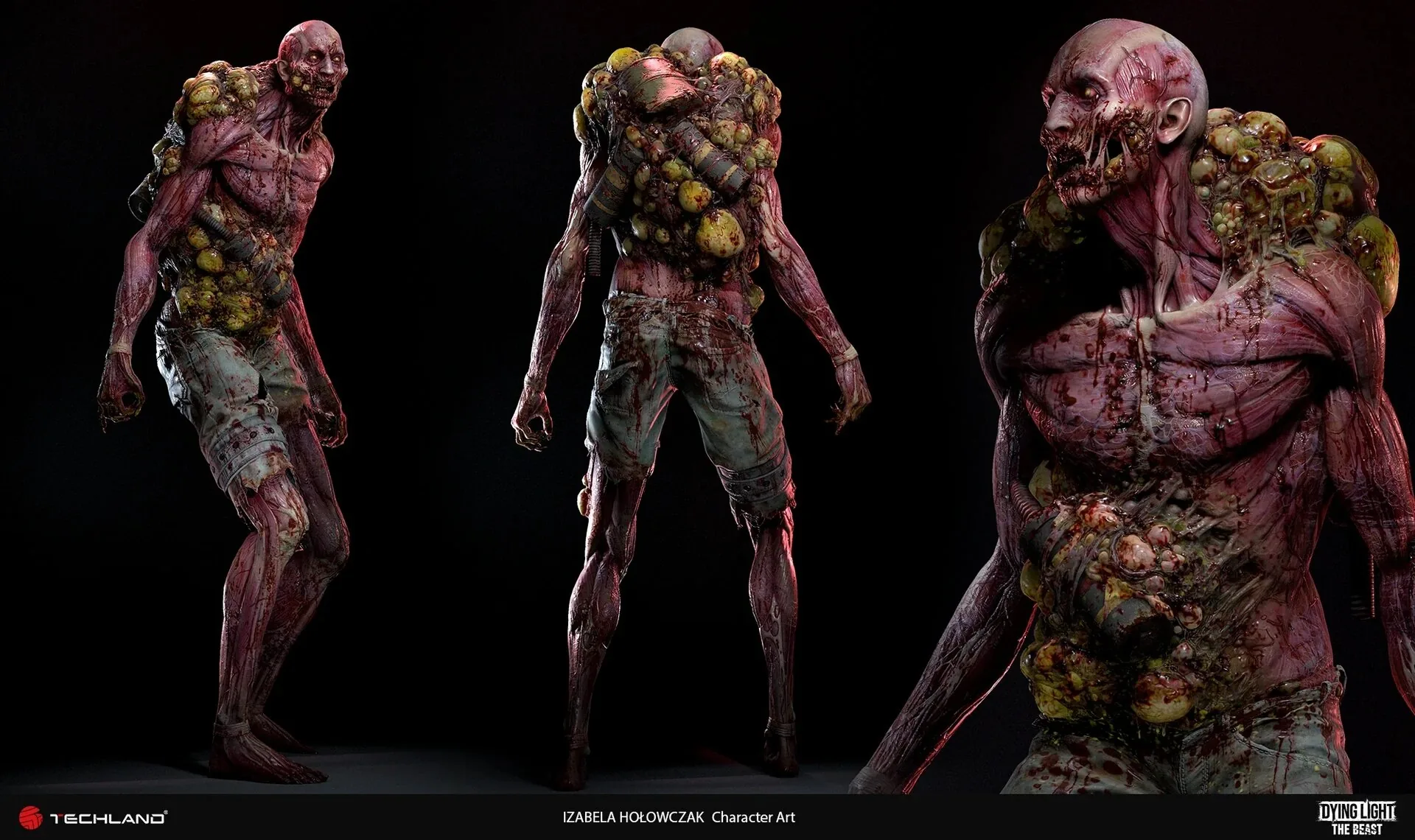Взгляните поближе на мир Dying Light: — изображение 12