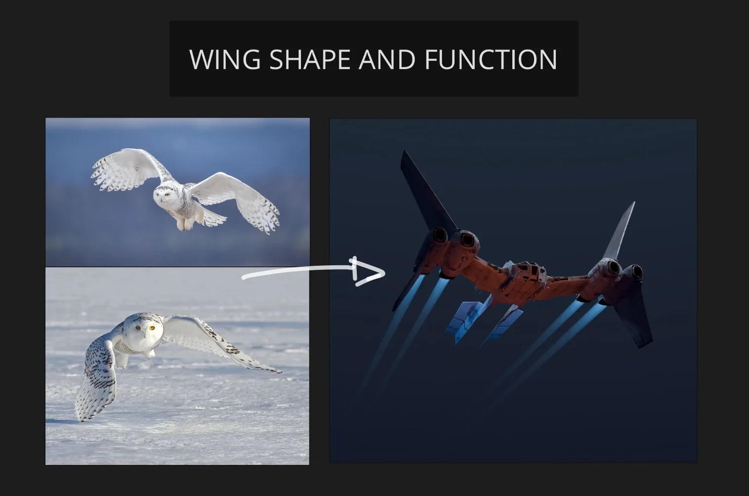 How to Design a Startfighter Influenced by a Hunting Owl Using Blender - изображение 3