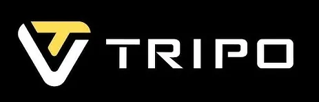 Tripo CEO on Using AI to «Augment» Creators Not «Replace Them» - изображение 3