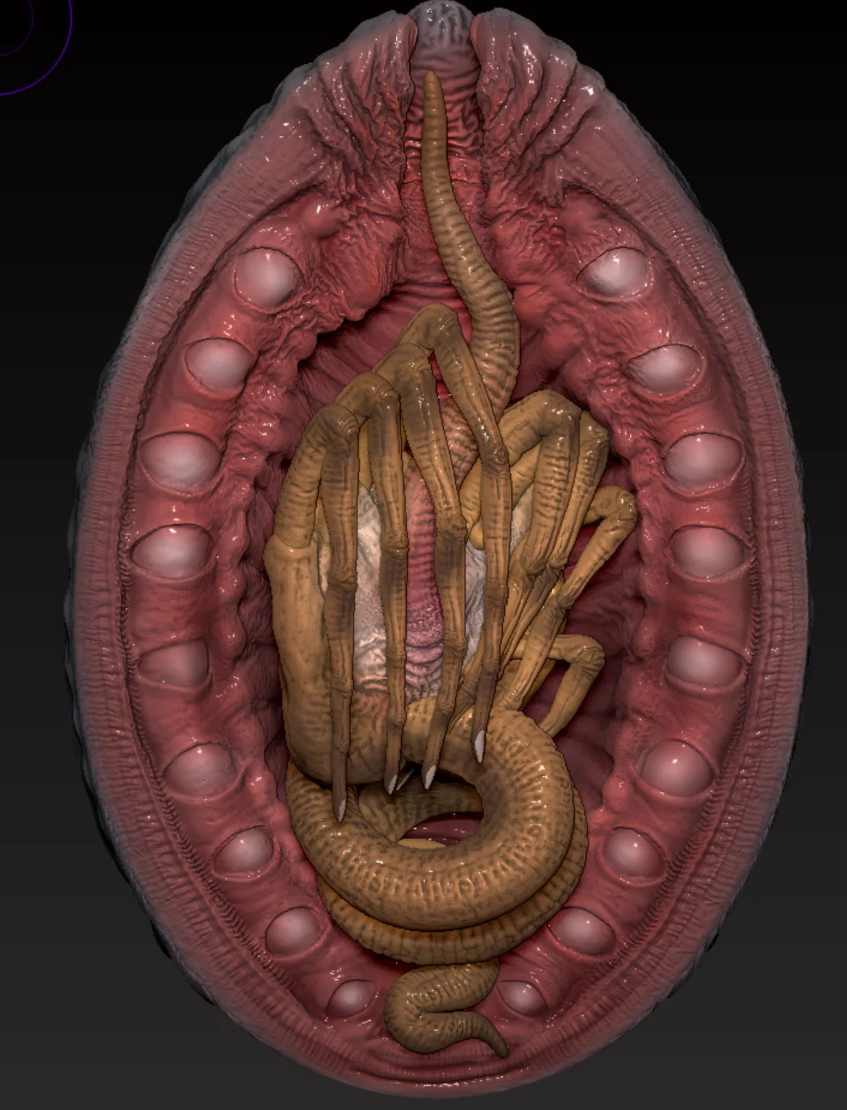 See How This Creepy Facehugger Egg from Alien Was Made in 3D - изображение 8