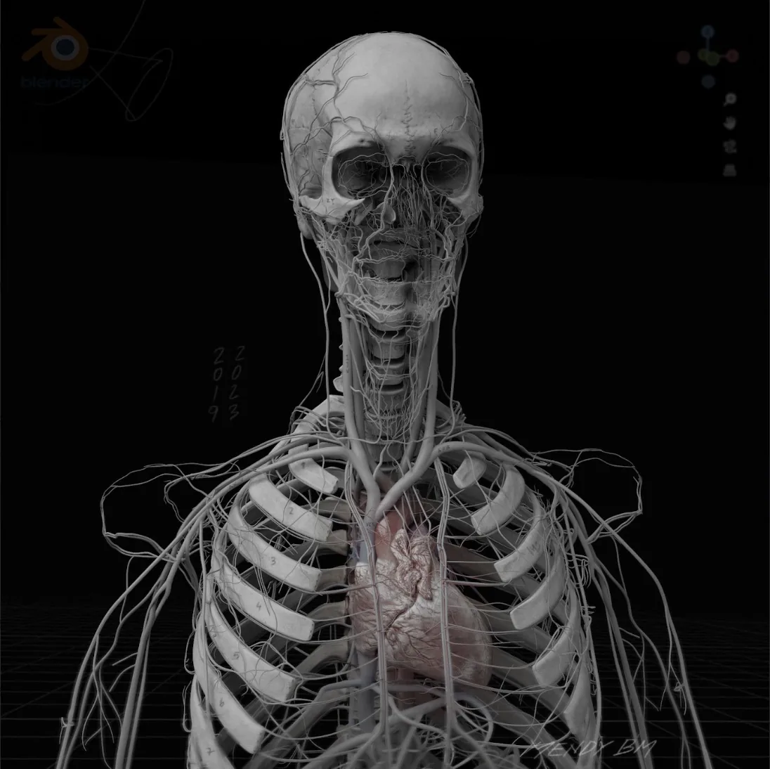 Создание анатомической системы с помощью ZBrush и Blender - изображение 3