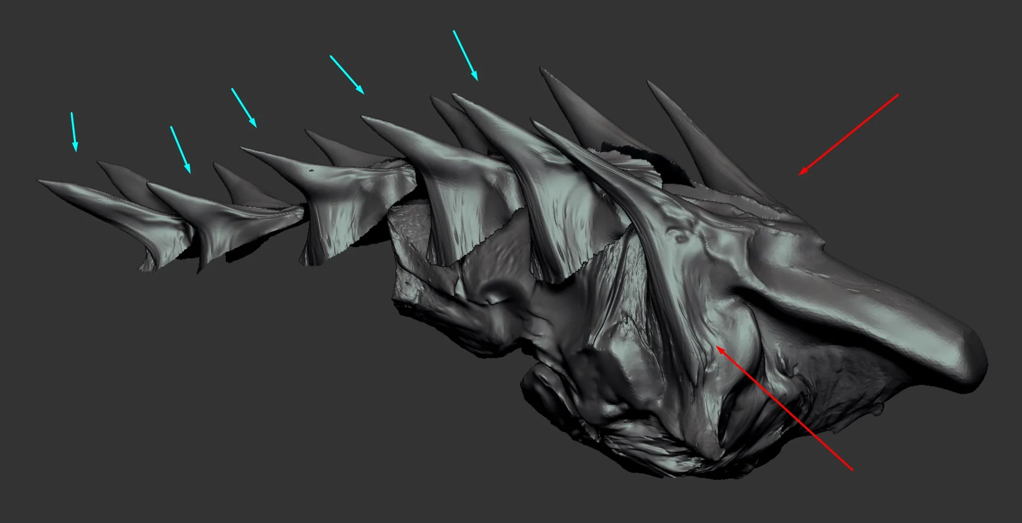 Как создать концептуальный дизайн пещерной виверны с помощью ZBrush и Blender - изображение 5