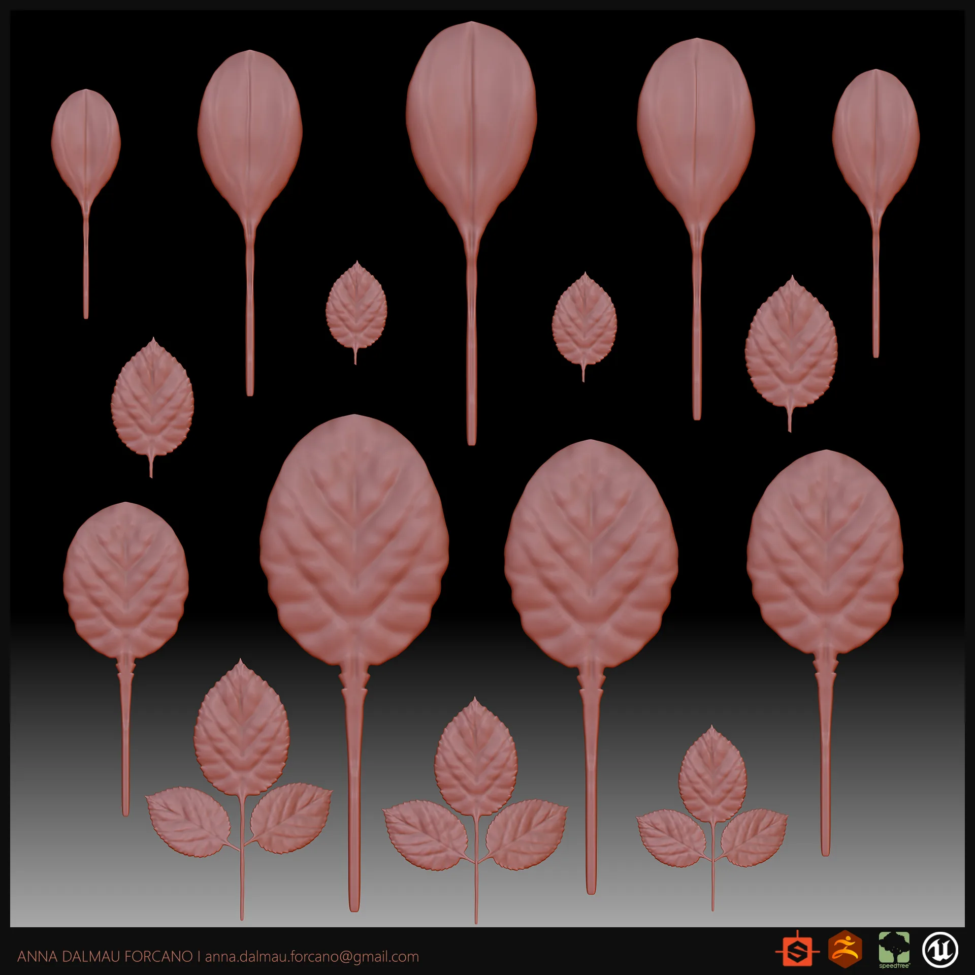 Как создать реалистичную листву с помощью ZBrush, SpeedTree и Substance 3D — изображение 6