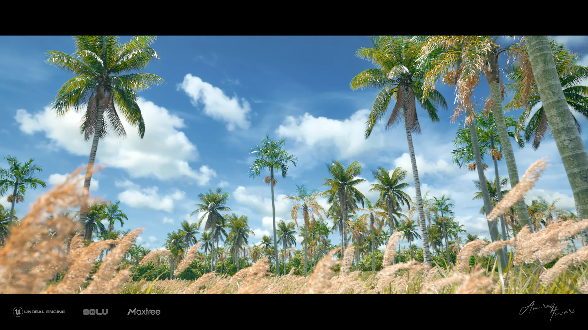 Создание солнечного поля с пальмами в Unreal Engine и с помощью инструментов Emperia's Creator Tools — изображение 7