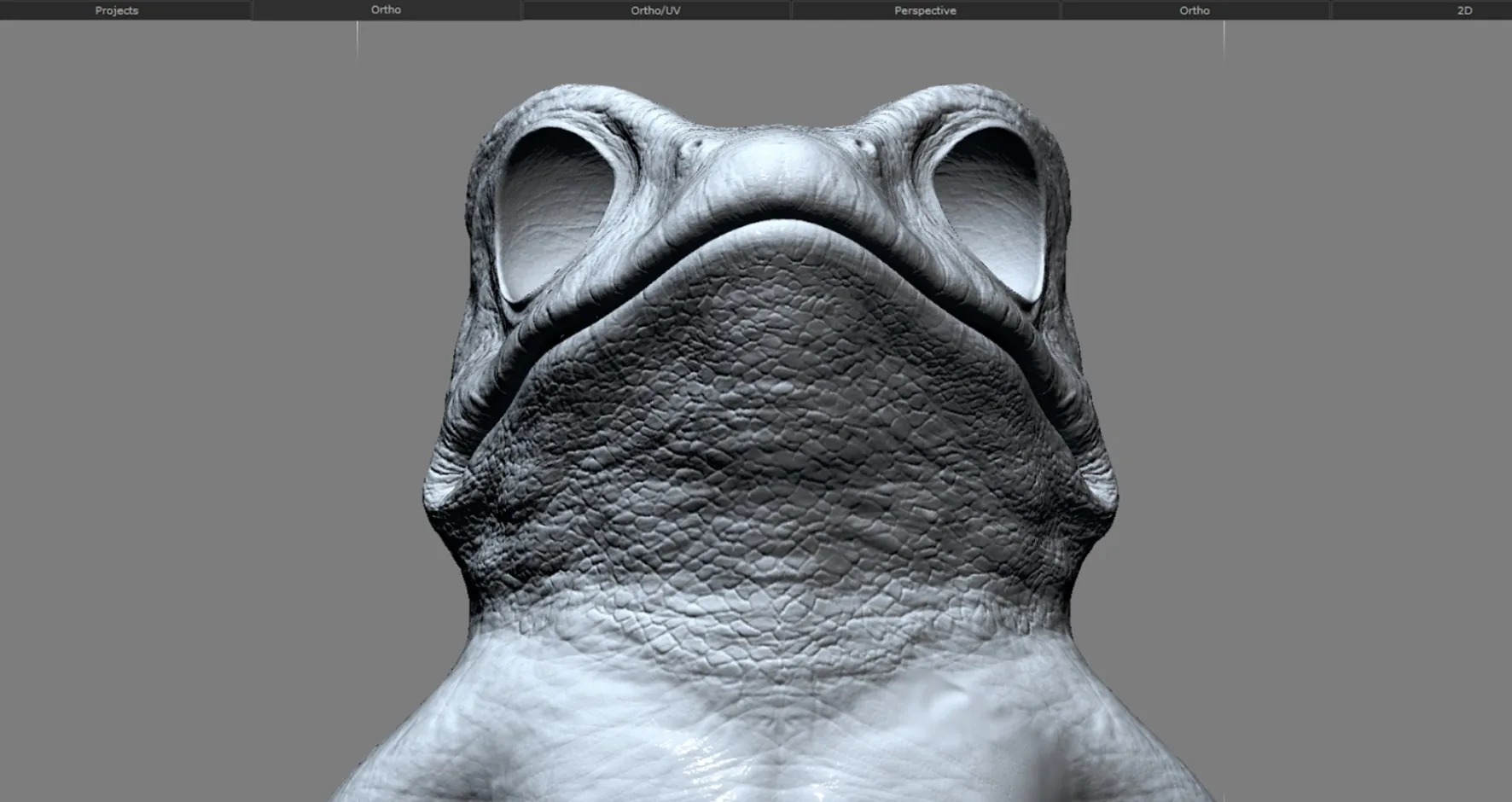 Sculpting & Texturing Realistic Toad Skin in ZBrush, Mari & Substance 3D - изображение 11