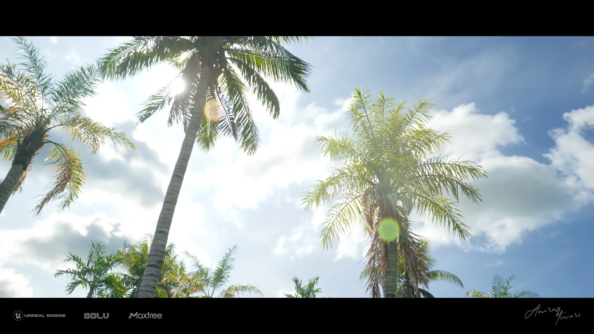 Создание солнечного поля с пальмами в Unreal Engine и с помощью инструментов Emperia's Creator Tools — изображение 6