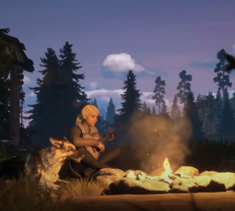 Как студия создала атмосферную приключенческую игру про пастушьего пса в Unreal Engine