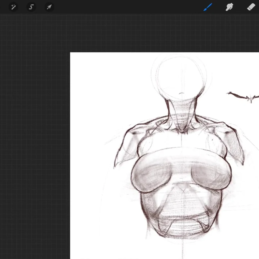 How to Draw the Ribcage: Female and Male