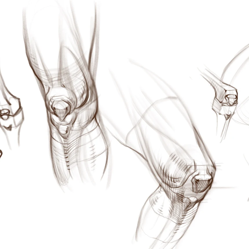 How to Draw a Knee