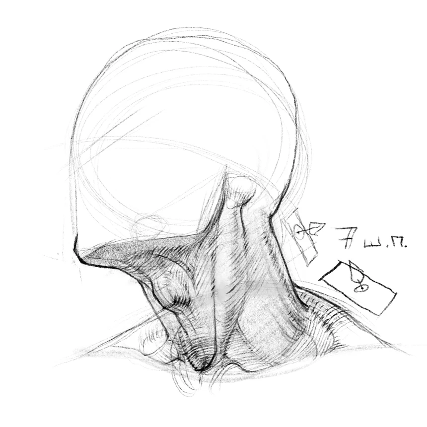 How to Draw the Neck