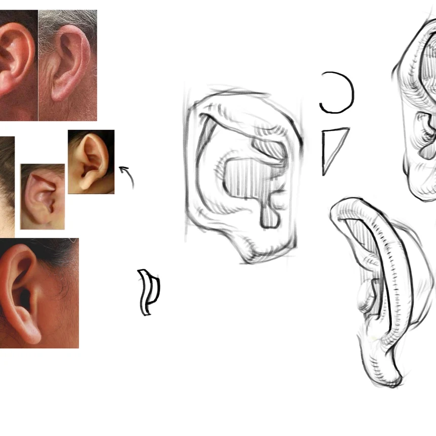 How to Draw an Ear
