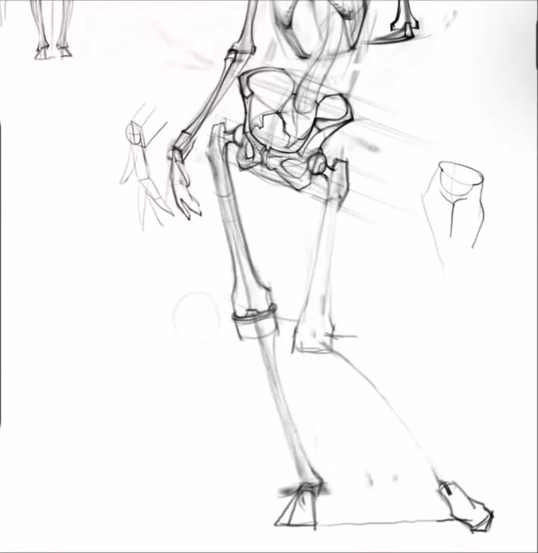 Leg bones: femur, shin, and patella