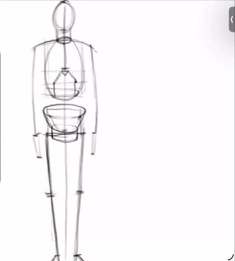 Human figure proportions of eight heads: skeleton construction