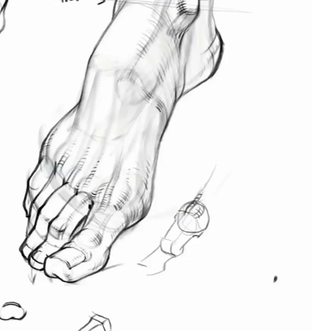Completed foot drawing with tone and emphasis work