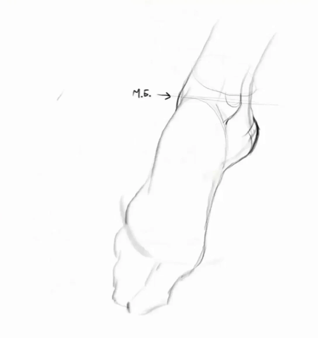 Creating the silhouette of the foot with light lines